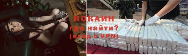 прущие грибы Покачи