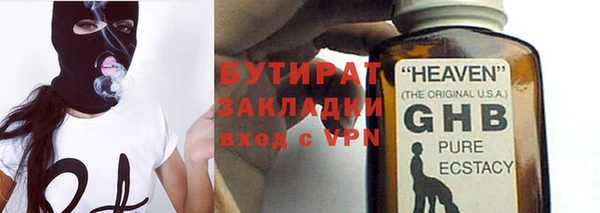 прущие грибы Покачи