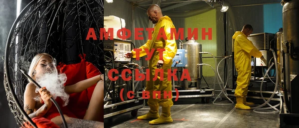 прущие грибы Покачи