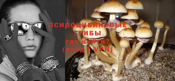 прущие грибы Покачи