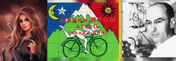 прущие грибы Покачи