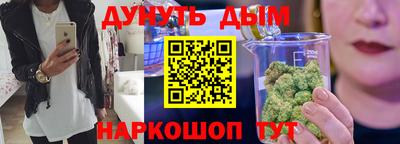 шишки Бийск