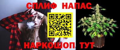 дмт Берёзовский