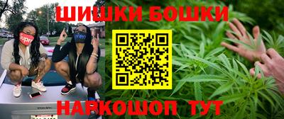 шишки Бийск