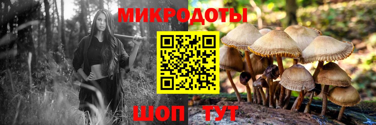 Галлюциногенные грибы GOLDEN TEACHER Вязьма