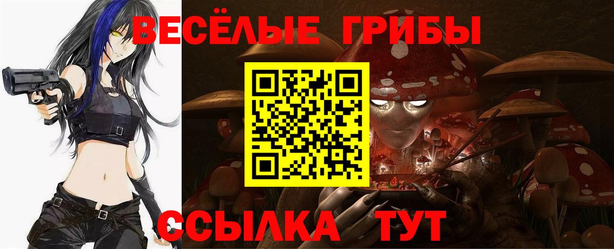 Галлюциногенные грибы прущие грибы Вязьма