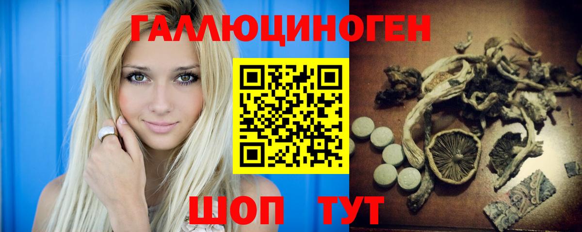 Псилоцибиновые грибы GOLDEN TEACHER  Псилоцибиновые грибы Psilocybe  продажа наркотиков  Вязьма  Вход с VPN 