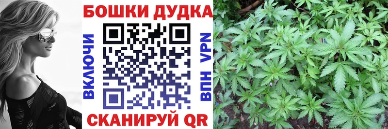 купить  сайты  Вязьма  Каннабис планчик 